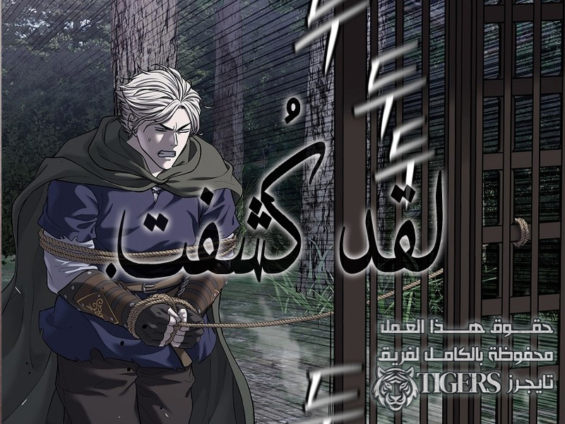 الفصل 25